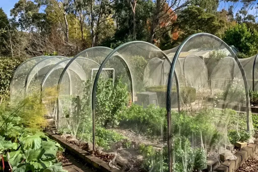 Garden Protection