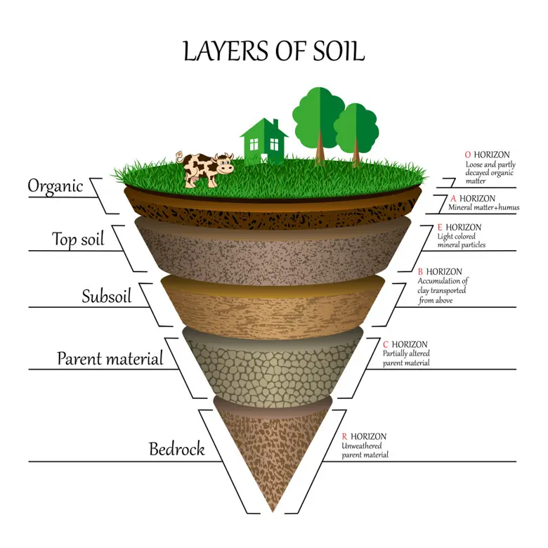 Topsoil